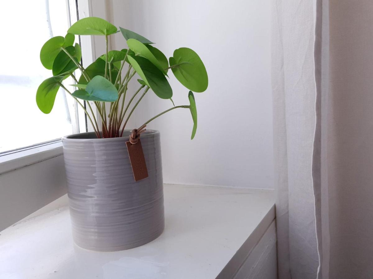 Val Colla B&B Lugano Luaran gambar